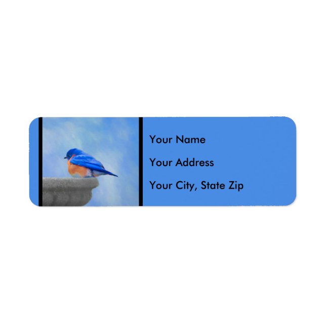 Bluebird Painting - Original Bird Art (Front)
