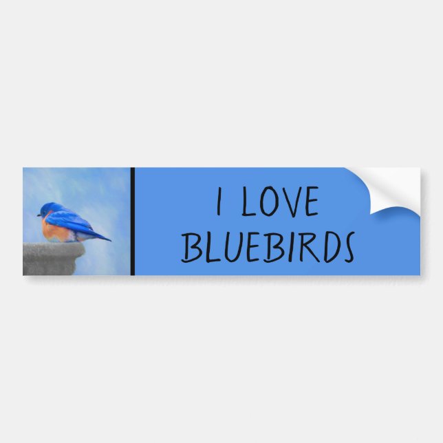 Bluebird Painting - Original Bird Art Bumper Sticker (Front)