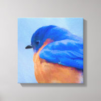 Bluebird Painting - Original Bird Art