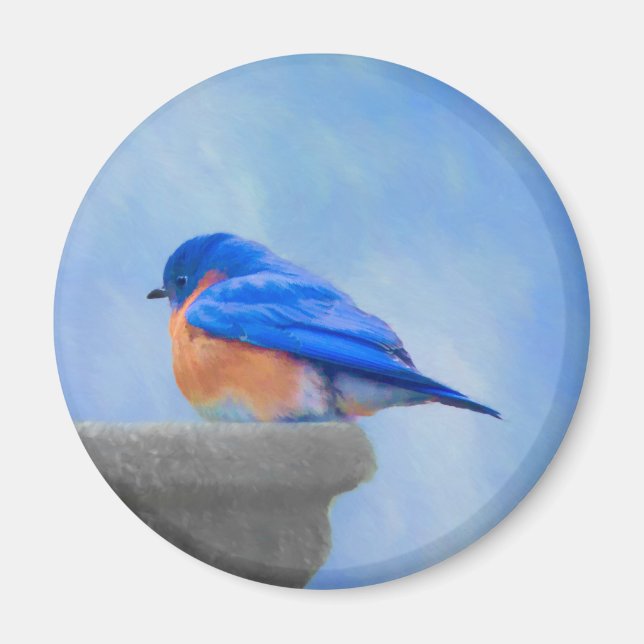 Bluebird Painting - Original Bird Art Magnet (Front)