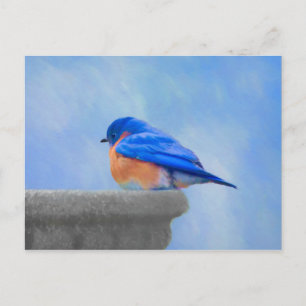 Bluebird Painting - Original Bird Art Postcard