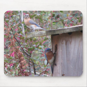 Bluebird Pair Mousepad