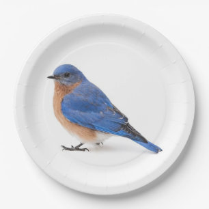 Bluebird Paper Plate