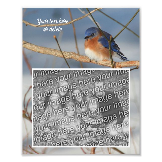 Bluebird Personalized Create Your Own 8x10 Photo Print (Front)