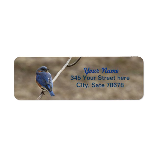 Bluebird Photo Return Address labels (Front)
