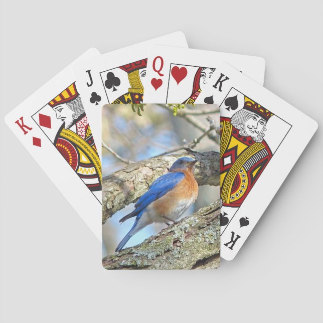 Bluebird Playing Cards (Back)