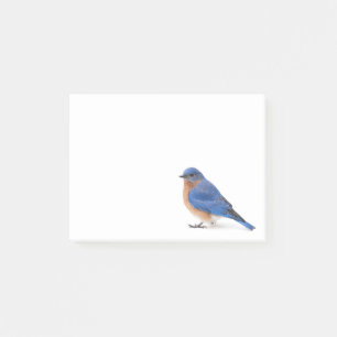 Bluebird Post-it Notes