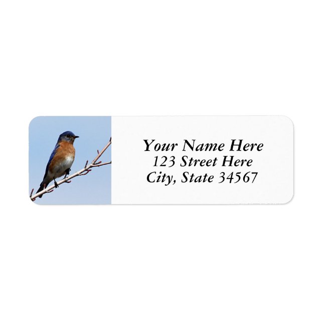 Bluebird Return Address Labels (Front)