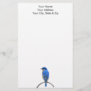 Bluebird Stationery