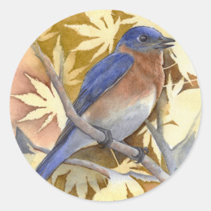 Bluebird Sticker
