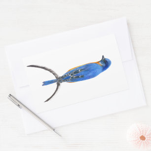 Bluebird Sticker