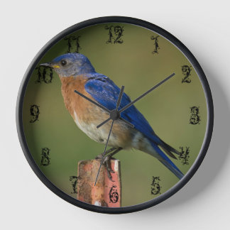 BLUEBIRD SUR UNE PIÈCE C HORLOGE