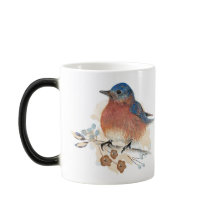 Bluebird Watercolor Coloured Pencil Art