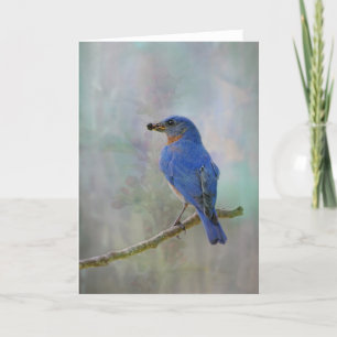 Bluebird Watercolor Holiday Card