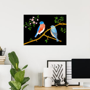 Bluebirds Black Poster