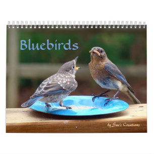 Bluebirds Calendar