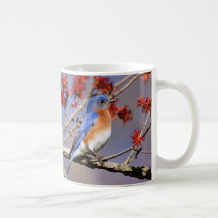 Bluebirds Coffee Mug III by BirdingCollectibles