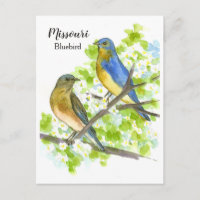Bluebirds Hawthorn Tree Missouri State Bird