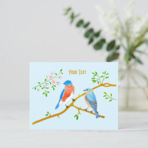 Bluebirds Light Blue Postcard