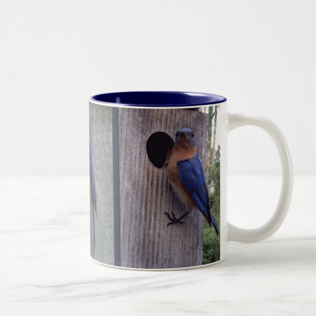 Bluebirds on Box Mug (Right)