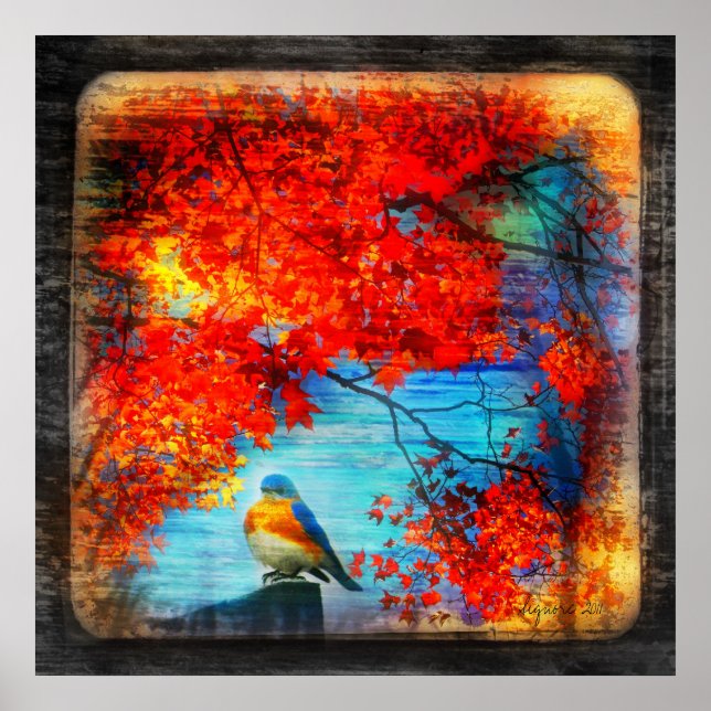 Bluebirds song,poster poster (Front)