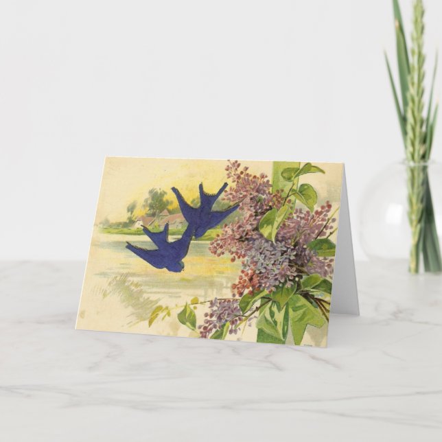 Bluebirds Vintage All Occasions Greeting Card (Front)