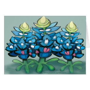 Bluebonnet