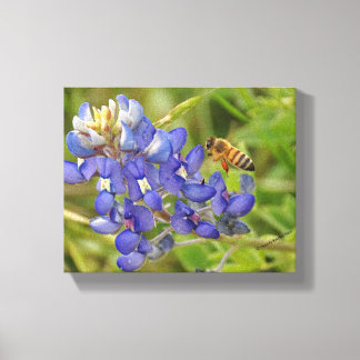 Bluebonnet and Bee photo canvas