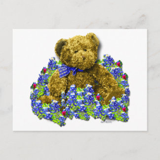 Bluebonnet Bear Postcard