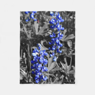 Bluebonnet Blanket