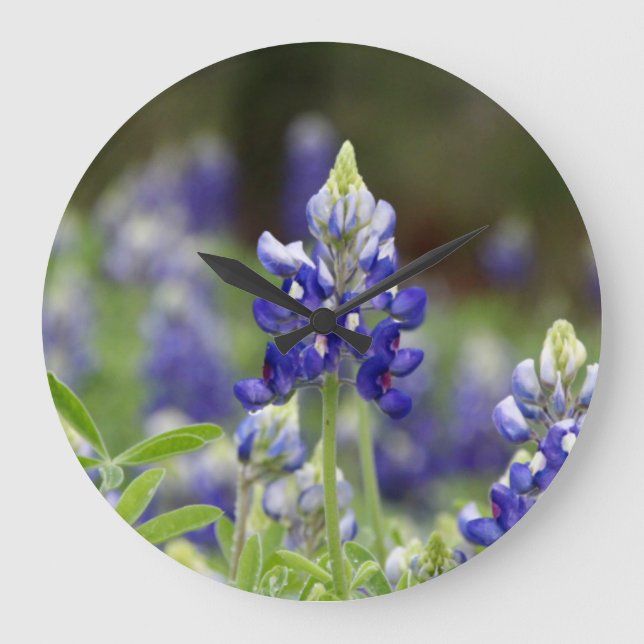 Bluebonnet Field Round Clock (Front)