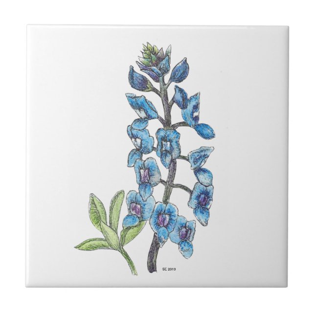 Bluebonnet in Line and Wash 1 Ceramic Tile (Front)