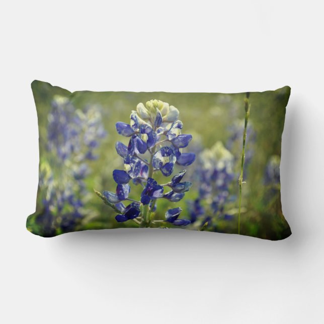Bluebonnet Lumbar Pillow (Front)
