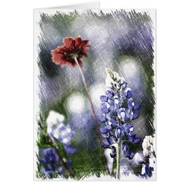 Bluebonnet Sketch (Front)