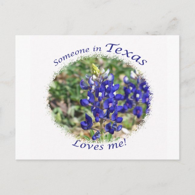 Bluebonnet "Someone in Texas Loves Me" Postcard (Front)