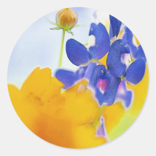 Bluebonnet Sticker