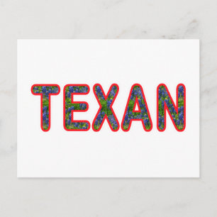 Bluebonnet Texan Postcard