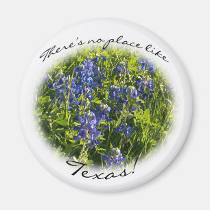 Bluebonnet "There's No Place Like Texas" Magnet