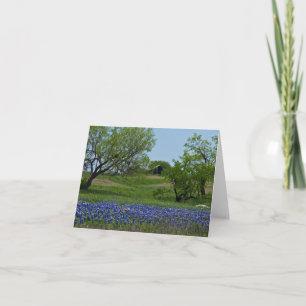 Bluebonnets and an Old Barn note card