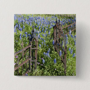 Bluebonnets and phlox surrounding cemetery gate 2 inch square button
