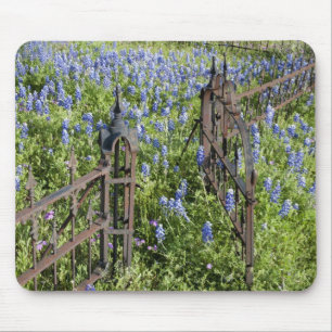 Bluebonnets and phlox surrounding cemetery gate mouse pad