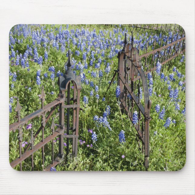 Bluebonnets and phlox surrounding cemetery gate mouse pad (Front)