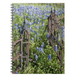 Bluebonnets and phlox surrounding cemetery gate notebook