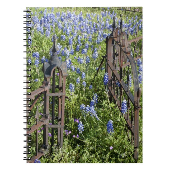 Bluebonnets and phlox surrounding cemetery gate notebook (Front)