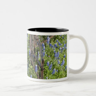 Bluebonnets and phlox surrounding cemetery gate Two-Tone coffee mug