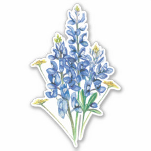 Bluebonnets and Wildflowers