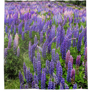 Bluebonnets Blue Floral Texas Texan Elegant