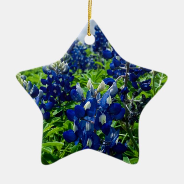 Bluebonnets Blue Floral Texas Texan Elegant Ceramic Ornament (Front)