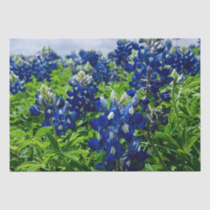Bluebonnets Blue Floral Texas Texan Elegant Tissue Paper
