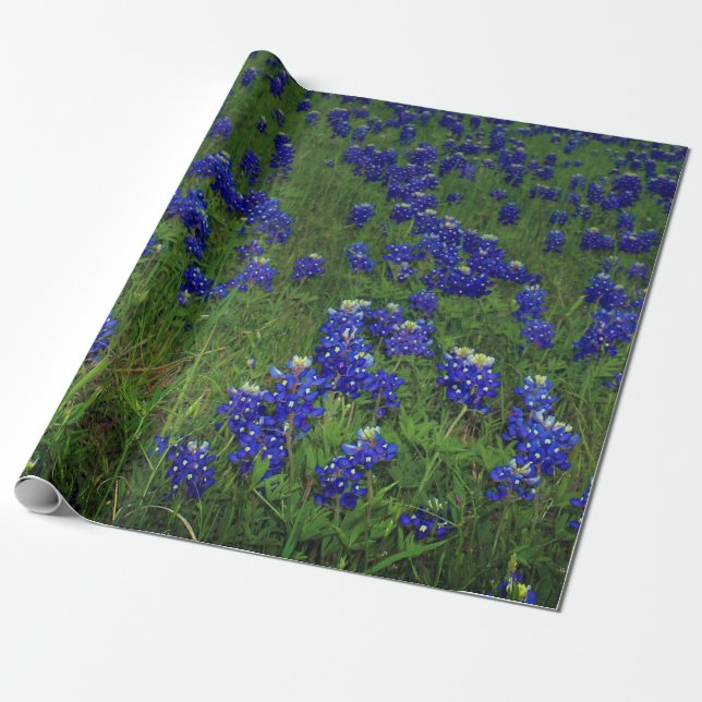 Bluebonnets Blue Floral Texas Texan Elegant  Wrapping Paper (Unrolled)